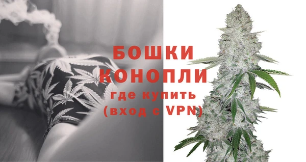 молекула духа Майский