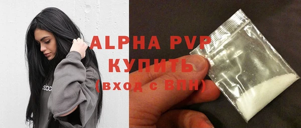 ГАЛЛЮЦИНОГЕННЫЕ ГРИБЫ Магас