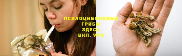 гидропоника Мегион