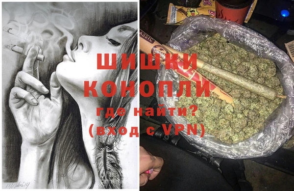 ГАЛЛЮЦИНОГЕННЫЕ ГРИБЫ Магас