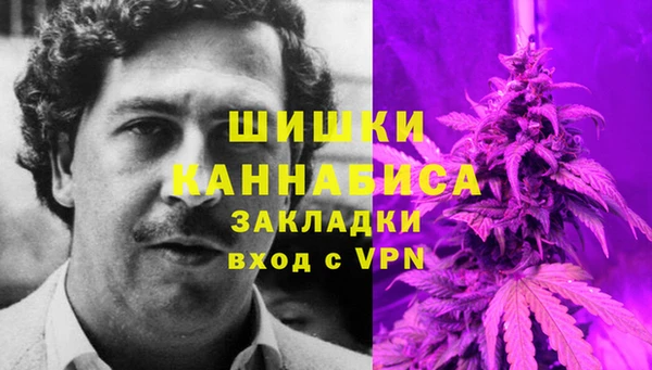 молекула духа Майский