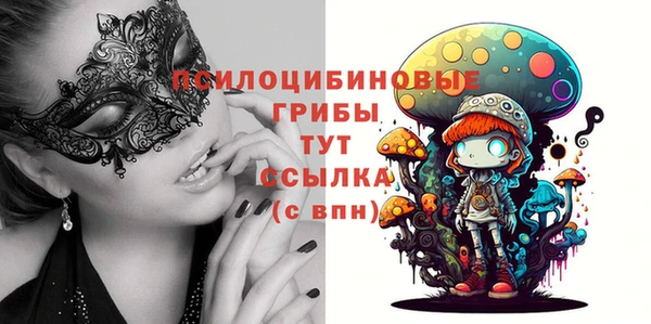прущий лед Медвежьегорск