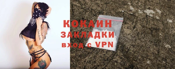 молекула духа Майский