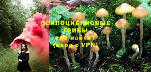 молекула духа Майский