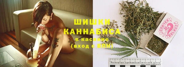 ГАЛЛЮЦИНОГЕННЫЕ ГРИБЫ Магас