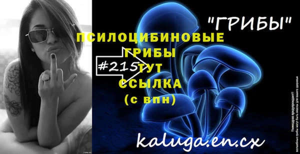 ГАЛЛЮЦИНОГЕННЫЕ ГРИБЫ Магас