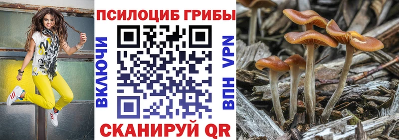 Псилоцибиновые грибы мицелий  Гдов 